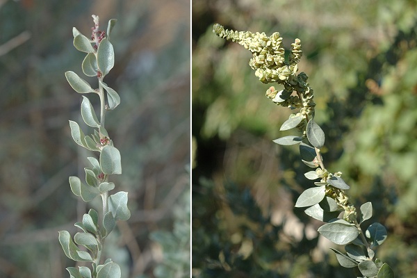 Marseille (Bouches-du-Rh�ne), 2 ao�t 2005 / 25 octobre 2006