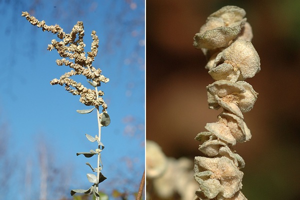 Marseille (Bouches-du-Rh�ne), 7 novembre 2009