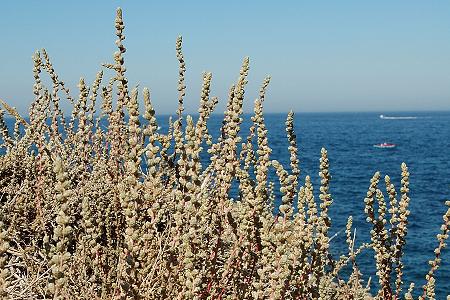 Marseille (Bouches-du-Rhône), 28 août 2004