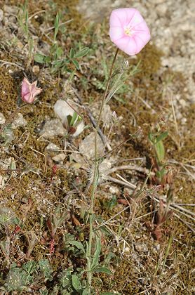 Retenue de Neuf-Rioux (Var), 30 avril 2006