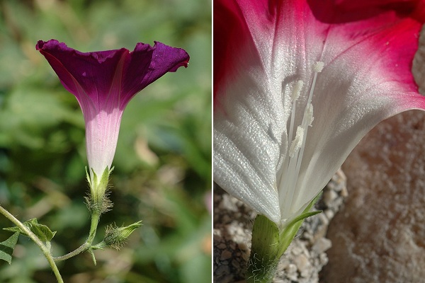 Marseille (Bouches-du-Rh�ne), 25 octobre 2006