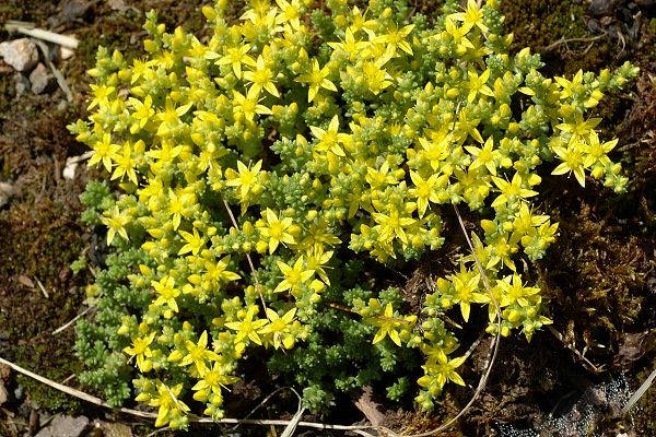 Montenois (Doubs), 27 mai 2009