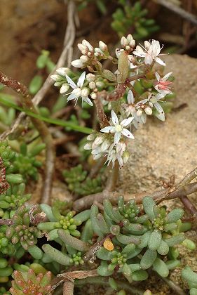 Montenois (Doubs), 11 octobre 2006