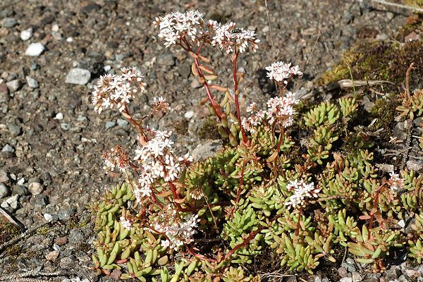 Blussans (Doubs),  4 juillet 2007