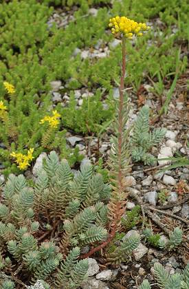 Blussans (Doubs), 29 juin 2007