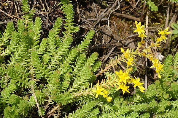 Blusans (Doubs), 4 juillet 2007