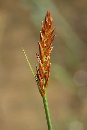 Bannans (Doubs), 24 juin 2007