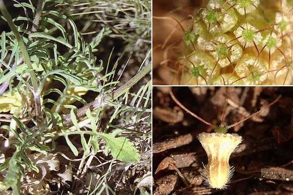 La Ciotat, sémaphore (Bouches-du-Rhône), 9 juin 2004 / Saint-Rémy (Bouches-du-Rhﻜne), 27 août 2007