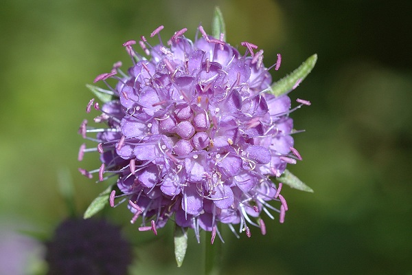 M�di�res (Doubs), 27 septembre 2005