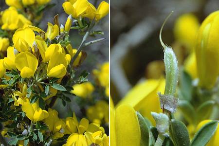 Bonifacio (Corse), 20 avril 2003