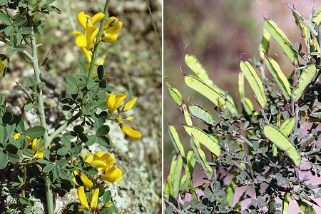 Le Muy (Var), 24 avril 2004 / La Ciotat (Bouches-du-Rhône), 9 juin 2004
