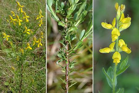Rixheim (Haut-Rhin), 13 mai 2005