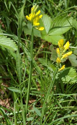 Bretigney (Doubs), 31 mai 2005