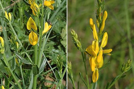 Bourcia (Jura), 29 mai 2005