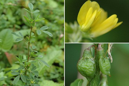 Lougres (Doubs), 26 septembre 2005