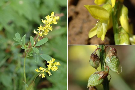 Montenois (Doubs), 15 septembre 2005