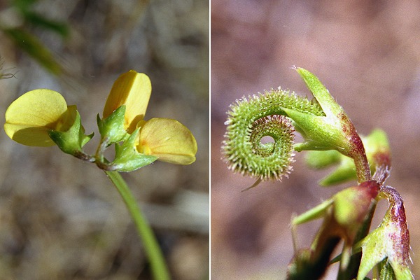 Porto-Vecchio (Corse), 24 avril 2003