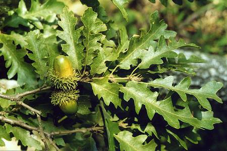Villars-Saint-Georges (Doubs), 18 septembre 2002