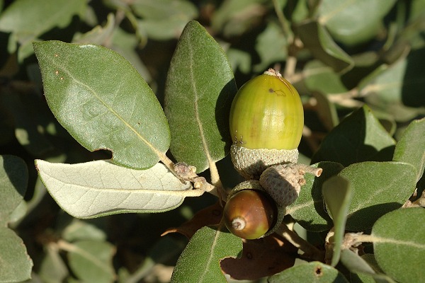 Marseille (Bouches-du-Rh�ne), 25 octobre 2006