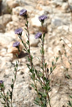 Marseille, Le Logis-Neuf (Bouches-du-Rhône), 2 octobre 2005