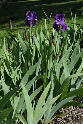 Montenois (Doubs), 16 mai 2019