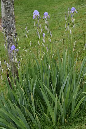Montenois (Doubs), 18 mai 2019
