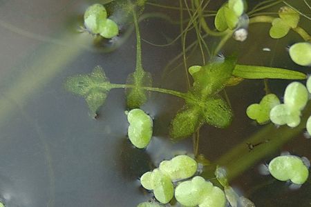 Membrey (Haute-Saône), 12 septembre 2004