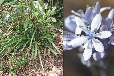 Levens (Alpes-Maritimes), 28 avril 2003