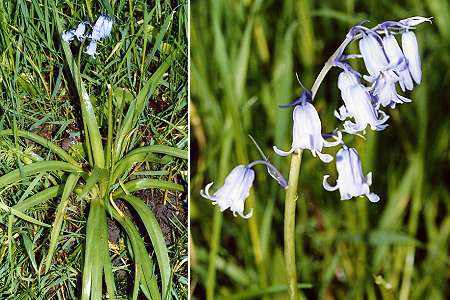 Nancy (Meurthe-et-Moselle), 3 mai 2002