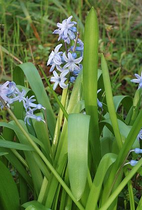 Avignon (Gard), 13 mars 2007