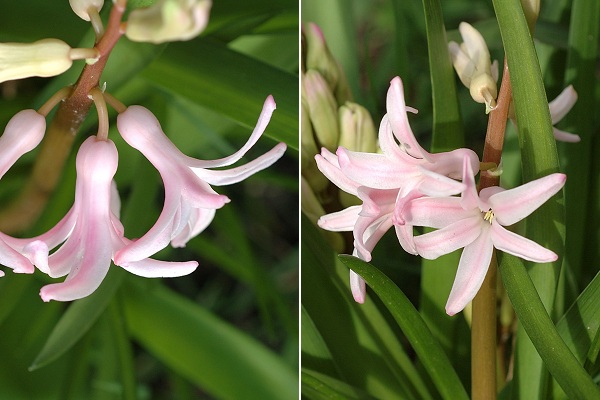 Paris (Seine), 3 mars 2007