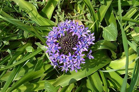 Alpes-Maritimes, 13 avril 2005