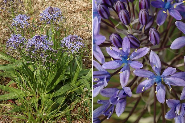 Aubagne (Bouches-du-Rhône), 28 avril 2008