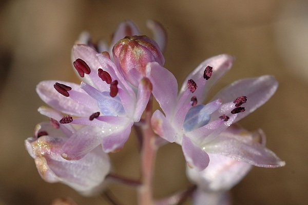 La Ciotat (Bouches-du-Rhône), 3 octobre 2005