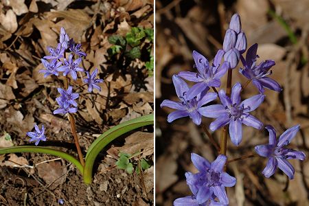 Lougres (Doubs), 21 mars 2009