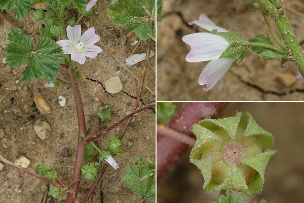 Etouvans (Doubs), 23 septembre 2007