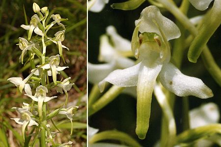 Chatelard (Doubs), 19 juin 2005 / Sixt (Haute-Savoie), 18 juillet 1992