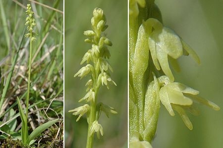 Mambouhans (Doubs), 9 juin 2005