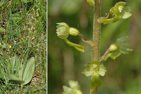 Bourcia (Jura), 29 mai 2005