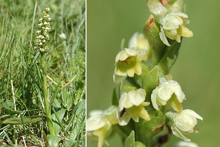 Puy de D�me (Puy-de-D�me), 23 juin 2006