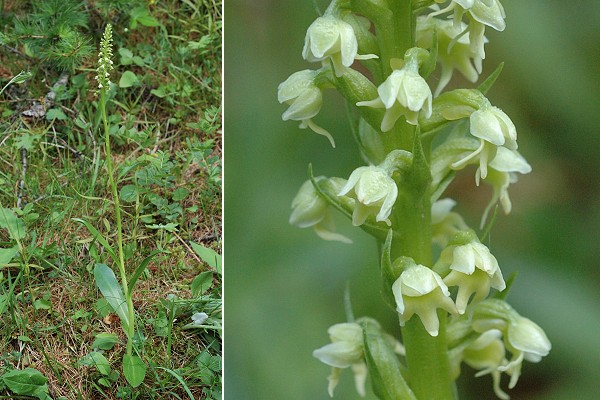 Abri�s (Hautes-Alpes), 17 juin 2010