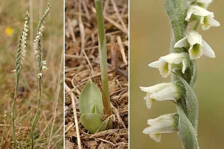  Vesoul, la Sabot, (Haute-Sa�ne), 5 septembre 2005
