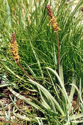 Col d'Abriès (Hautes-Alpes), 13 juillet 2001