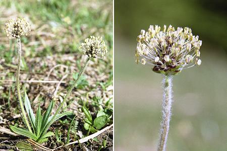Prémanon (Jura), 20 mai 2004