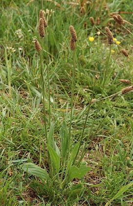 Ecot (Doubs), 11 mai 2007