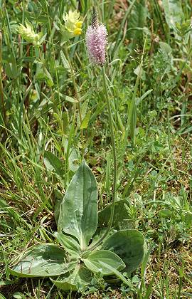 Villars-sous-Ecot (Doubs), 12 mai 2007