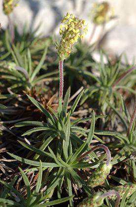 Marseille, Callelongue (Bouches-du-Rhône), 1 mai 2006