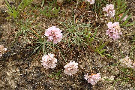 Les Sables-d'Olonne (Vend�e), 12 mai 2009