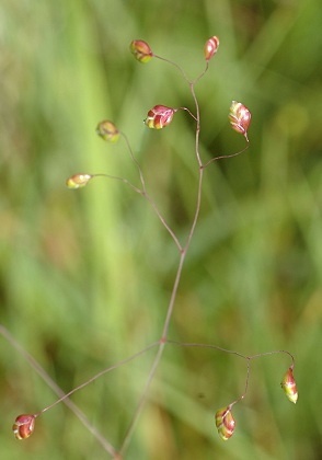 Col des Montets (Haute-Savoie), 2 juillet 2007