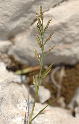 Le Rove (Bouches-du-Rh�ne), 29 avril 2007
